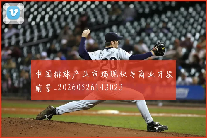 中国排球产业市场现状与商业开发前景_20260526143023